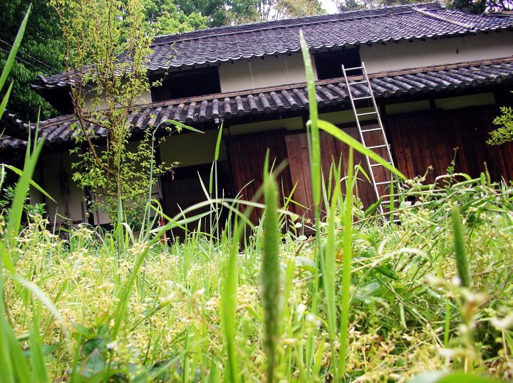 釜島の廃屋